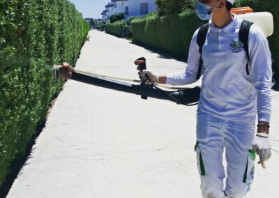 BestTraitement (28)